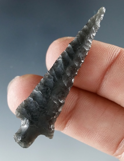 2" obsidian Rose Springs that is nicely flaked found in Oregon.