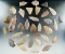 Large group of 32 assorted New Jersey arrowheads and knives, largest is 3 1/8