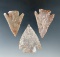 Ex. Museum! 3 Castroville points made from quality material found in central Texas.