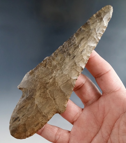 5 7/8" Adena Beavertail made from Dover Flint, found in Todd Co., Kentucky. Bennett COA.