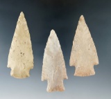 Ex. Museum! Set of three Lang points in excellent condition found in Texas, largest is 2 7/8