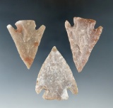 Ex. Museum! 3 Castroville points made from quality material found in central Texas.
