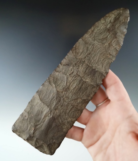 Large! 7 1/4" Archaic Blade - nicely flaked from Esopus chert - Newton farm Chenango County NY.