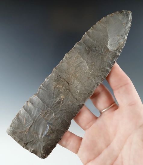 Incredible flaking! 6 3/16" Hornstone Paleo Knife that is exceptionally thin found in Ohio.