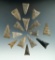 Group of 15 Triangular arrowheads found near Belfast, Allegheny Co., New York.