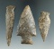 Set of three New York arrowheads, largest is 3 1/8