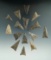 Group of 15 Triangular arrowheads found near Belfast, Allegheny Co., New York.