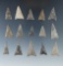Nice selection of 15 triangular arrowheads found at the Noble site, Belmont, Allegheny County NY.