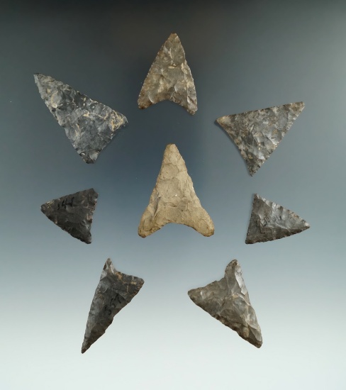 Set of eight triangular arrowheads found in New York, largest is 1 13/16".