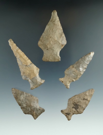 Set of five Ashtabula points found in New York, largest is 2 7/16".