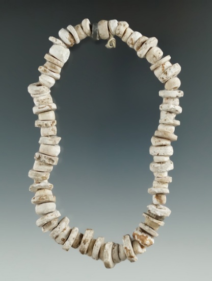 11" long strand of drilled shell beads found in Livingston Co., New York.