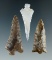 Set of 3 Columbia River Arrowheads found in Franklin Co., Washington. Largest is 1 11/16