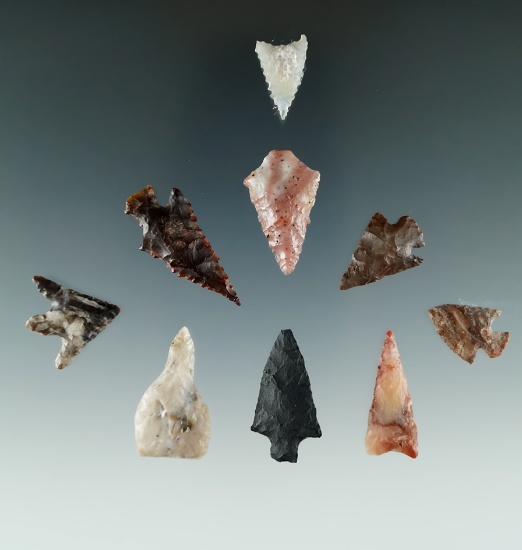 Group of 9 Columbia River Gempoints found in Franklin Co., Washington. Largest is 1 1/4".