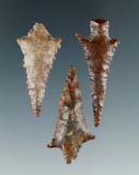 Set of 3 Rabbit Island Arrowheads found near the Lower Columbia River. Largest is 1 9/16