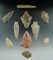 Eight late archaic points found in North Carolina from the Everett Goldsmith collection.