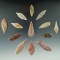 Set of 13 Leaf style African Neolithic arrowheads found in Northern Sahara Desert Region.