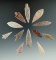 Set of 12 Neolithic African arrowheads found in Northern Sahara Desert Region. Largest is 2