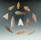 Set of 12 Neolithic African arrowheads found in Northern Sahara Desert Region. Largest is 2 1/8