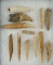 Group of 12 assorted bone Awls, beads and bear canine teeth found in NY. Largest is 2 11/16