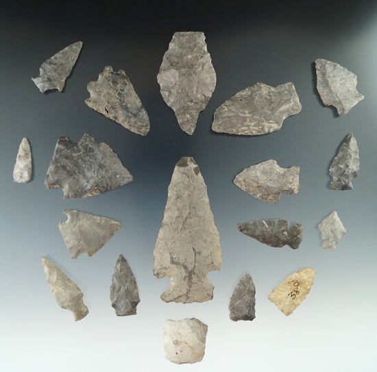 Group of 18 assorted flaked points and knives found near the Upper Susquehanna, Otsego County NY