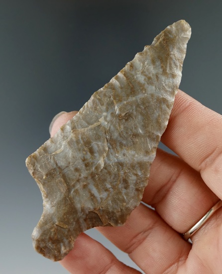 3 5/16" Ashtabula found in Southern Michigan.