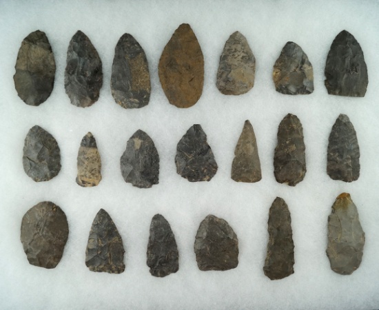 Approximately 20 prehistoric biface knives found near the upper Susquehanna, NY.