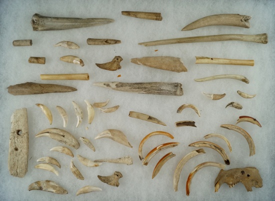 Approximately 50 assorted bone tools, awls, animal teeth recovered near Munnsville Valley, NY.