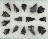 Nice assortment of 15 serrated arrowheads found in NY and Pennsylvania. Largest is 1 9/16