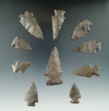 Nice group of 10 assorted Archaic points found near the upper Susquehanna, at Sago County NY.