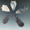 Group of 5 rare Paleo Transitional points. Montgomery Co., Huron Co., and Delaware Co., Ohio.