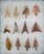 12 Neolithic Gem Points from Africa, four different types with good markings and color.