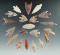 Set of 20 African Neolithic arrowheads found in the northern Sahara desert region.