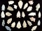 Group of 25 arrowheads found in Richland and Knox Co.,  Ohio by the Hooks family. Largest is 2