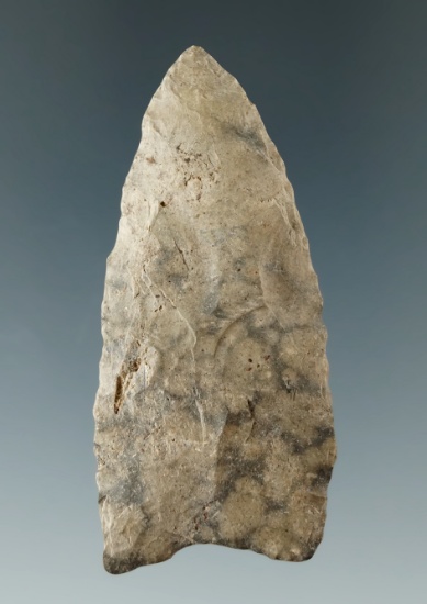 2 1/2" Paleo Clovis - mottled Coshocton Flint, lightly fluted. Found in Bowling Green, Ohio.