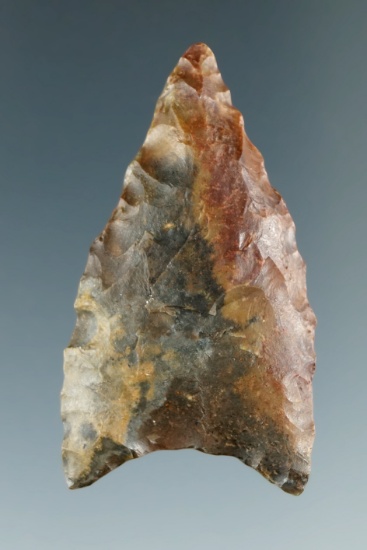 1 13/16" Plainview found by Harry Gaines in the 1950's in Grayson Co., Texas.  Rogers COA.