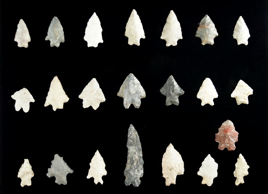 Group of 22 Bifurcated base points found in Ohio, largest is 2 1/4".