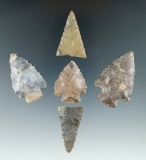 Set of five Pipe Creek Chert points found in Huron and Crawford Counties, Ohio.