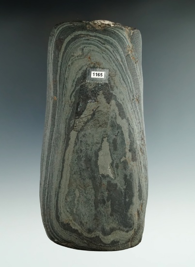 5 5/8" Banded Slate Celt found in Clark Co., Ohio.
