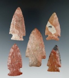 Set of five beautifully colored arrowheads found in Ohio, largest is 2 9/16