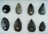 Group of 8 Coshocton Flint Adena Blades found in Ohio.  Largest is 2 15/16