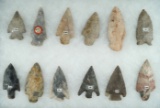 Group of 12 assorted points from various locations.  Largest is 2 11/16