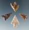 Set of four assorted Columbia River arrowheads, largest is 7/8