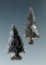 Pair of well flaked Columbia River arrowheads, largest is 1