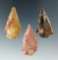 Set of three colorful Columbia River arrowheads, largest is 1 1/2