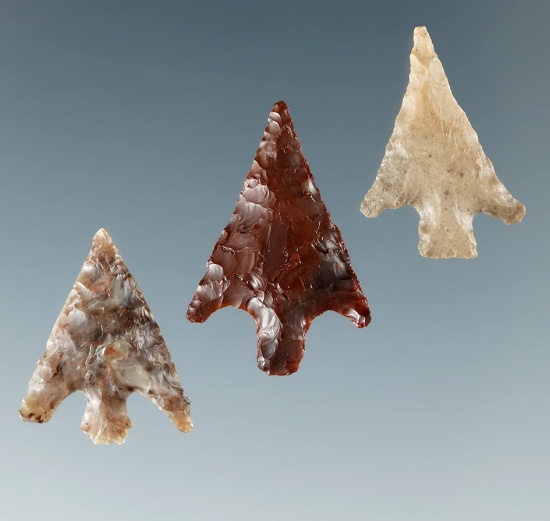 Set of three Columbia Plateau points found near the Columbia River, largest is 13/16".