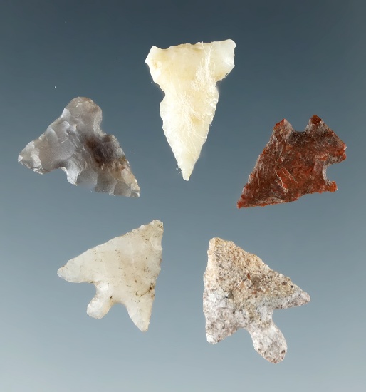 Set of five Columbia River Gem points, largest is 1/2".