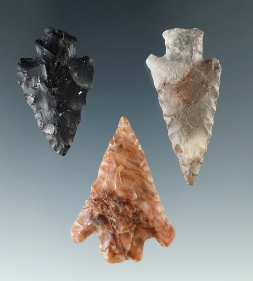 Set of three Columbia River arrowheads, largest is 1 1/2".