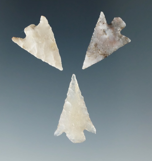 Set of three Columbia Plateau points found near the Columbia River, largest is 7/8".