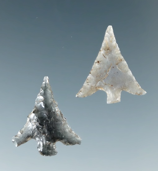 Pair of low flaked Columbia Plateau points found near the Columbia River, both around 5/8" long.