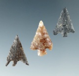 Set of three Columbia Plateau points found near the Columbia River, largest is 13/16